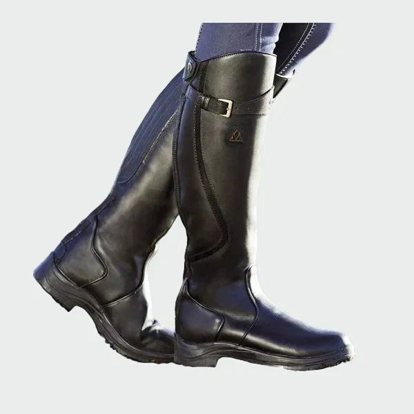 DELPHDINE | MAINTIEN PREMIUM