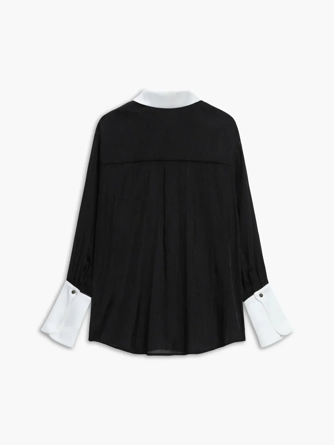 Chemise transparente femme à manches longues, col et poignets contrastés