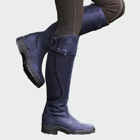 DELPHDINE | MAINTIEN PREMIUM